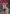 [Pre-Order] THE SUMMER PLANTS Studio - Statue - Summer Girlfriend Series Classmate Mari Makinami Illustrious - Neon Genesis Evangelion