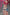 [Pre-Order] THE SUMMER PLANTS Studio - Statue - Summer Girlfriend Series Classmate Mari Makinami Illustrious - Neon Genesis Evangelion
