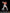 [Pre-Order] Cartoon Kingdom Studio - Statue - Ippo Makunouchi (Licensed)
