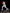 [Pre-Order] Cartoon Kingdom Studio - Statue - Ippo Makunouchi (Licensed)