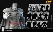 [Warehouse in Stock] Hokuto Studio - Statue - Fist of the North Star - Series #1 Kenshiro