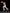 [Pre-Order] Cartoon Kingdom Studio - Statue - Ippo Makunouchi (Licensed)