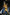 [Pre-Order] Jimei Palace studio - Statue - Saint Seiya - 05 Capricorn Shura (Licensed)