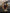 [Pre-Order] Bard Studio - Statue - Clair Obscur: Expedition 33 - Maelle with LED