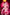 [Pre-Order Closed] Hobby Sakura Studio - PVC - Original - Staff Bunny Girl (Licensed)