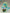 [Pre-Order Closed] Mimo Studio - Statue - Spy x Family - Tathagata Buddha Hatsune Miku