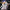 [Warehouse in Stock] Light Year Studio - Statue - Sailor Moon - Queen Serenity & King Endymion (Licensed)