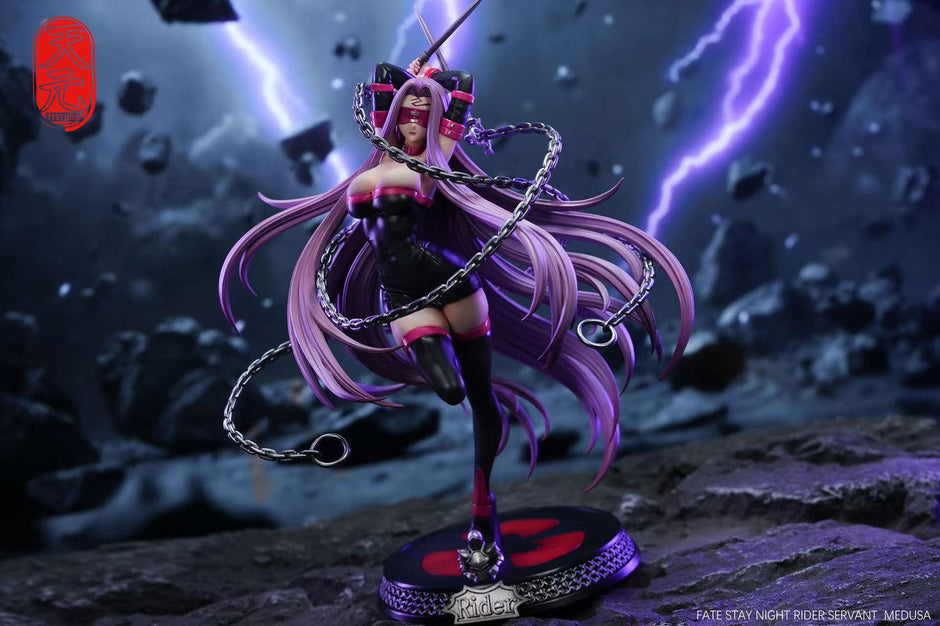 [Pre-Order] TY Studio - Statue - fate/stay - night Rider