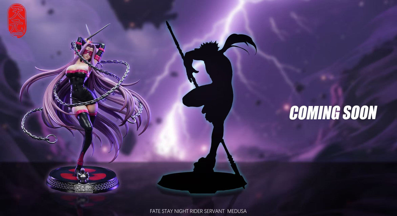 [Pre-Order] TY Studio - Statue - fate/stay - night Rider