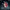 [Pre-Order Closed] Figurama Collectors - Statue - Elite Solo Elfen Lied - Lucy (Licensed)