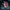 [Pre-Order Closed] Figurama Collectors - Statue - Elite Solo Elfen Lied - Lucy (Licensed)