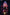 [Pre-Order] Forest Rabbit Studio - Statue - Spy x Family - Anya Cos Family