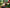 [Pre-Order] LongMiao Studio - Statue - My Neighbor Totoro - Hayao Miyazaki's Ecological Scene Mei Holding Corn