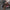 [Pre-Order Closed] New Age Studio - Statue - Honkai: Star Rail - Office lady uniform Elysia