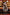 [Pre-Order] Modomodo Studio - Statue - Azur Lane - Bunny Girl Aegir