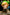 [Pre-Order] Kintsukuroi creations Studio - Statue - The Legend of Zelda - LINK AND MARIN 14 DIORAMA