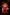 [Pre-Order] Mimo Studio - Statue - Spy x Family - Red Dress Anya