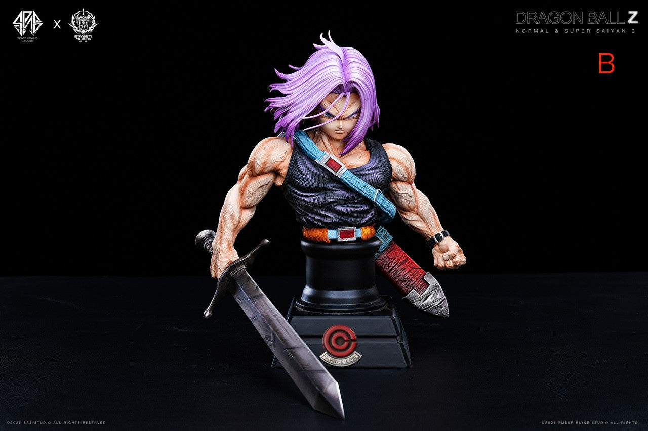 [Pre-Order Closed] Space Realm Studio & Ember Ruins Studio - Statue - Dragon Ball - Trunks
