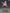 [Pre-Order] New Age Studio - Statue - School Uniform Fu Xuan Honkai: Star Rail