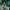 [Pre-Order] Alice21 Studio - Statue - Saya no Uta: The Song of Saya