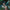 [Pre-Order] Alice21 Studio - Statue - Saya no Uta: The Song of Saya