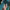 [Pre-Order] Alice21 Studio - Statue - Saya no Uta: The Song of Saya