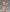 [Pre-Order] Third Eye Studio - Statue - Swimsuit Purah The Legend of Zelda