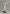 [Pre-Order] Green tea Studio - Statue - Tavern Bunny Girl C.C. Code Geass