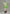 [Pre-Order] Green tea Studio - Statue - Tavern Bunny Girl C.C. Code Geass