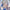 [Pre-Order] Alice21 Studio - Statue - Pure White Oath Frieren Frieren Beyond Journey's End