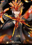 [Pre-Order] Dream Boat Studio - Statue - Tsunayoshi Sawada Katekyo Hitman Reborn