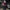 [Pre-Order] Alice21 Studio - Statue - Skirk cos Silksong Hornet Genshin Impact
