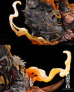 [Pre-Order] HAOZI Studio - Statue - Garrosh Hellscream World of Warcraft