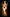 [Pre-Order Closed] TriEagles Studio - Statue - Original - EVOLUTION Series First Release GOLDEN AGE (Licensed)