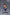 [Pre-Order Closed] Mimo Studio - Statue - Bakusō Kyōdai Let's & Go!! - All Characters Resonance Series Fourth Edition Tokichi Mikuni & Chiiko Mikuni & Jun Sagami