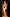 [Pre-Order Closed] TriEagles Studio - Statue - Original - EVOLUTION Series First Release GOLDEN AGE (Licensed)