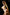 [Pre-Order Closed] TriEagles Studio - Statue - Original - EVOLUTION Series First Release GOLDEN AGE (Licensed)
