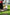 [Pre-Order Closed] GULUGULU Studio - Statue - Spy x Family - Anya Cos British Soldier