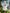 [Pre-Order Closed] Buff Studio - Statue - Frieren: Beyond Journey’s End - Master and Apprentice Series 002 Childhood Frieren
