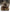 [Pre-Order Closed] Freedom Studio - Statue - Attack on Titan - 016 Zeke Yeager & Beast Titan