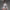 [Pre-Order Closed] FG Studio - Sex Doll - Resident Evil - FG004 Fighting Girl Ada Wong