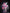 [Warehouse in Stock] Red Peach A Studio - Statue - Goddess of Victory: Nikke - Dorothy