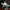[Pre-Order] ANE Studio - Statue - VTuber - Cecilia Immergreen