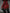 [Pre-Order Closed] CHOCOBO Studio - Statue - Resident Evil 4 - Ada Wong