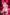 [Pre-Order Closed] Hobby Sakura Studio - PVC - Original - Staff Bunny Girl (Licensed)