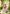 [Pre-Order] MoKu Studio - Statue - Spy x Family - Anya eating Watermelon