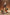 [Pre-Order Closed] PureArts Studio - Statue - League of Legends - 2025 Hall of Fame League Immortal Kai'Sa Cassiopeia 1/6 Figure (Licensed)