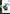 [Pre-Order] Prime 1 Studio - Statue - GUILTY GEAR - Ultimate Premium Masterline - Xrd REV 2 DIZZY UPMGG-01 UPMGG-01S (Licensed)