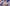 [Pre-Order] Dirty Pockets Studio & Dtalon Studio - Statue - Honkai: Star Rail - Galaxy Holiday Robin