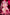 [Pre-Order Closed] Hobby Sakura Studio - PVC - Original - Staff Bunny Girl (Licensed)